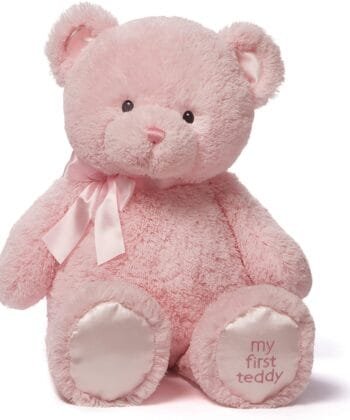Pink Teddy Bear